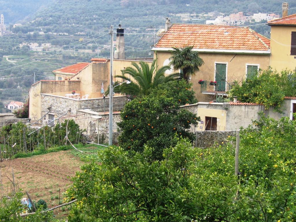 Agriturismo Barilaro 피날레리구레 외부 사진