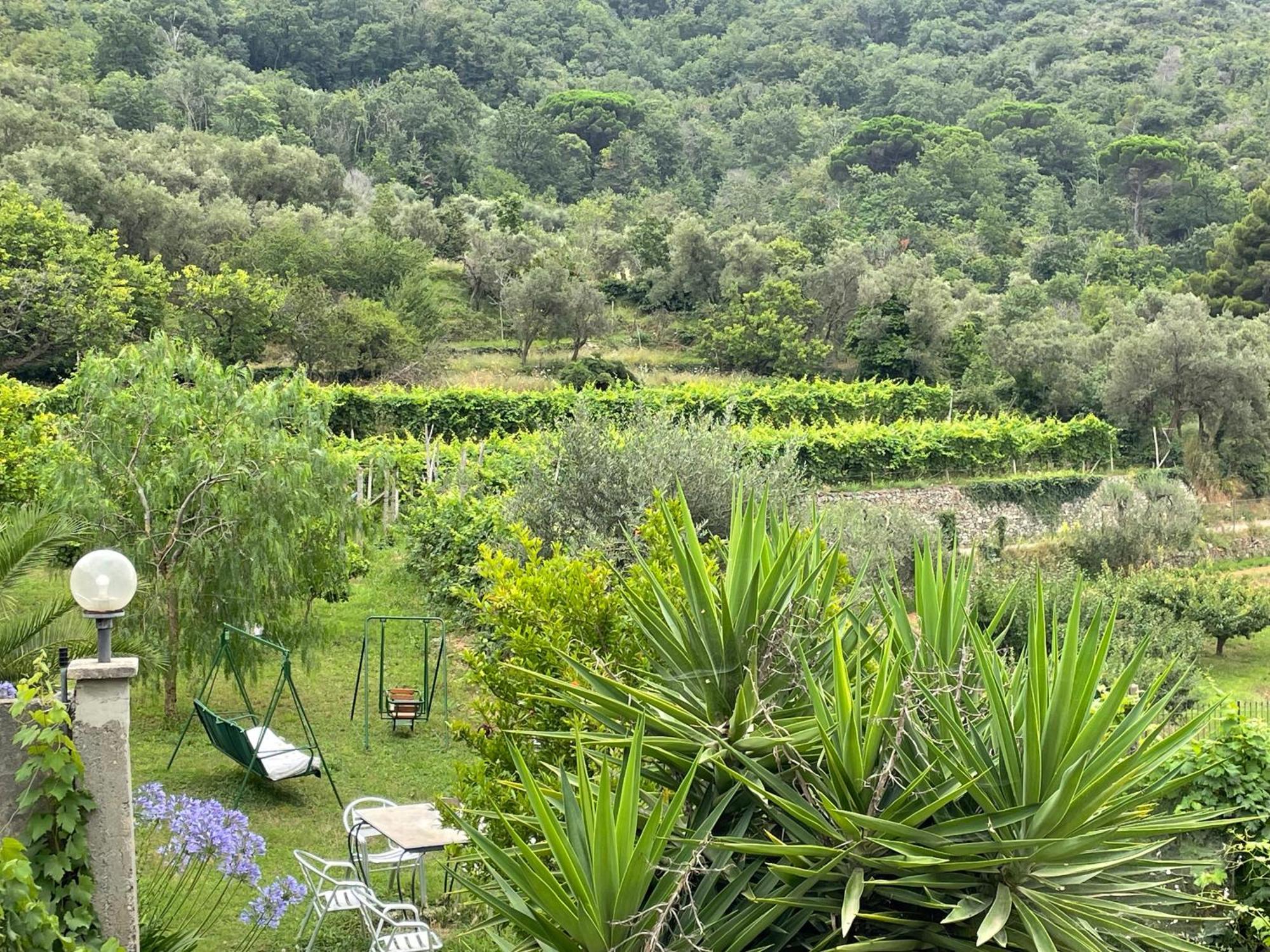 Agriturismo Barilaro 피날레리구레 외부 사진