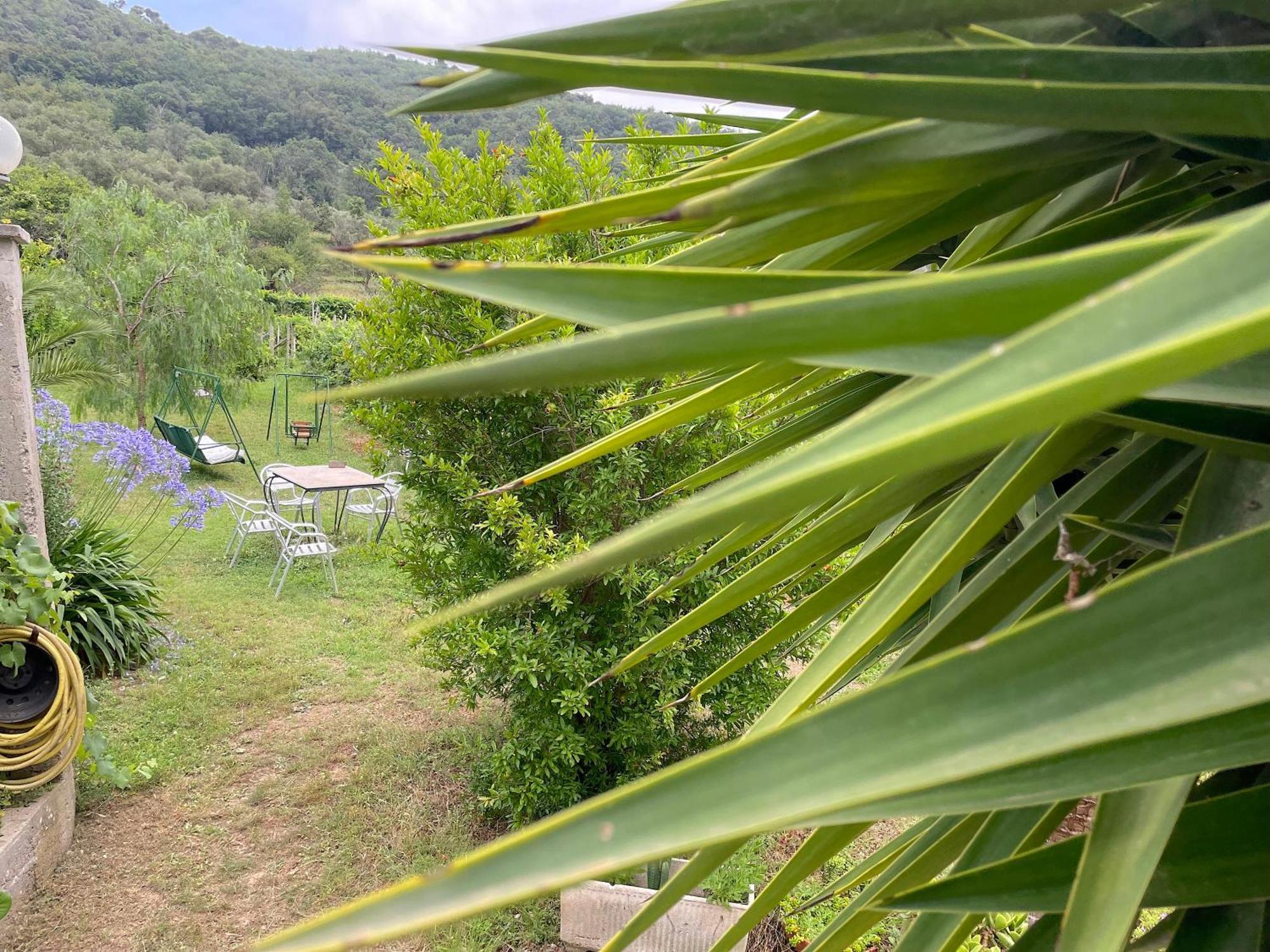 Agriturismo Barilaro 피날레리구레 외부 사진
