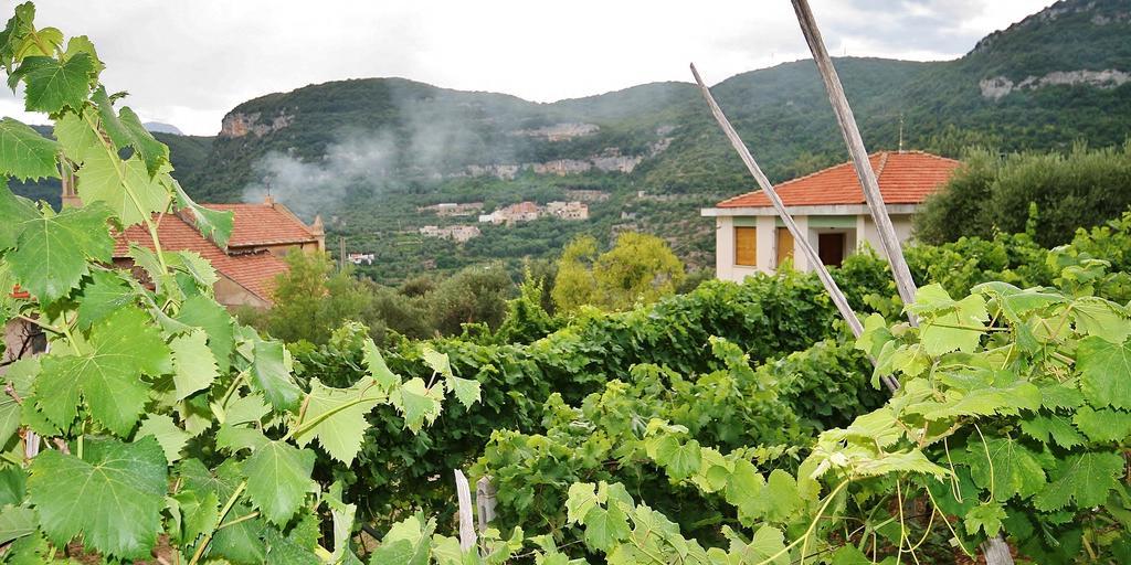 Agriturismo Barilaro 피날레리구레 외부 사진