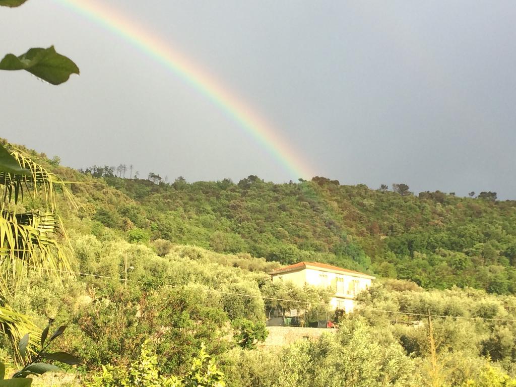 Agriturismo Barilaro 피날레리구레 외부 사진